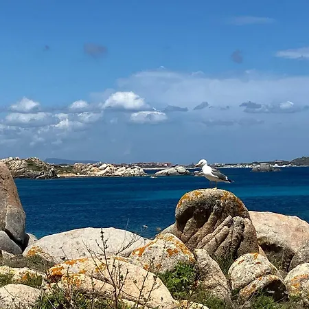 Maison Non Fumeur - Jardin 5 Personnes Proche Des Plages Finisteriennes *